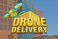 dronedelivery